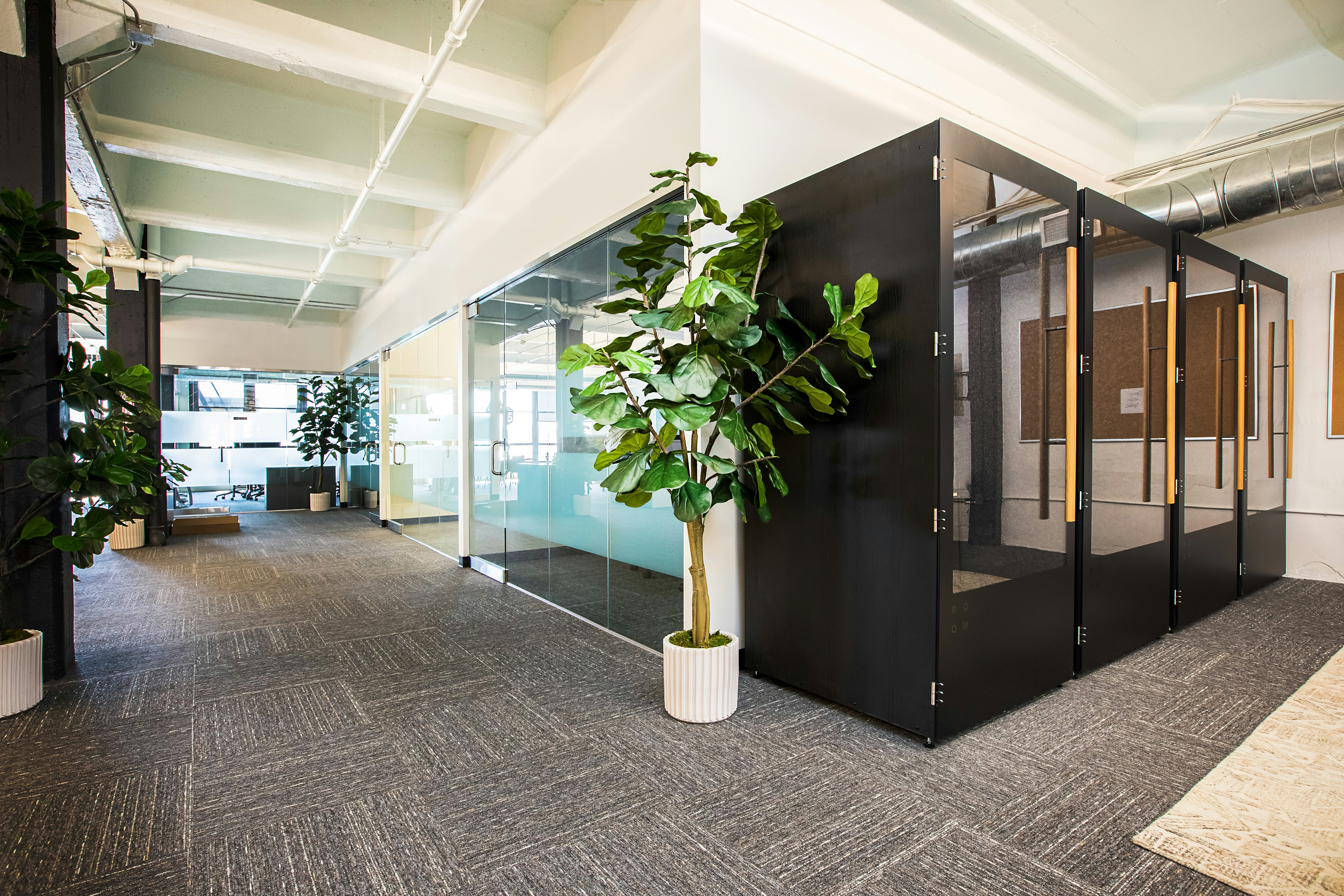 photo of an office space, with call booths and a tall floor plant in the centre.