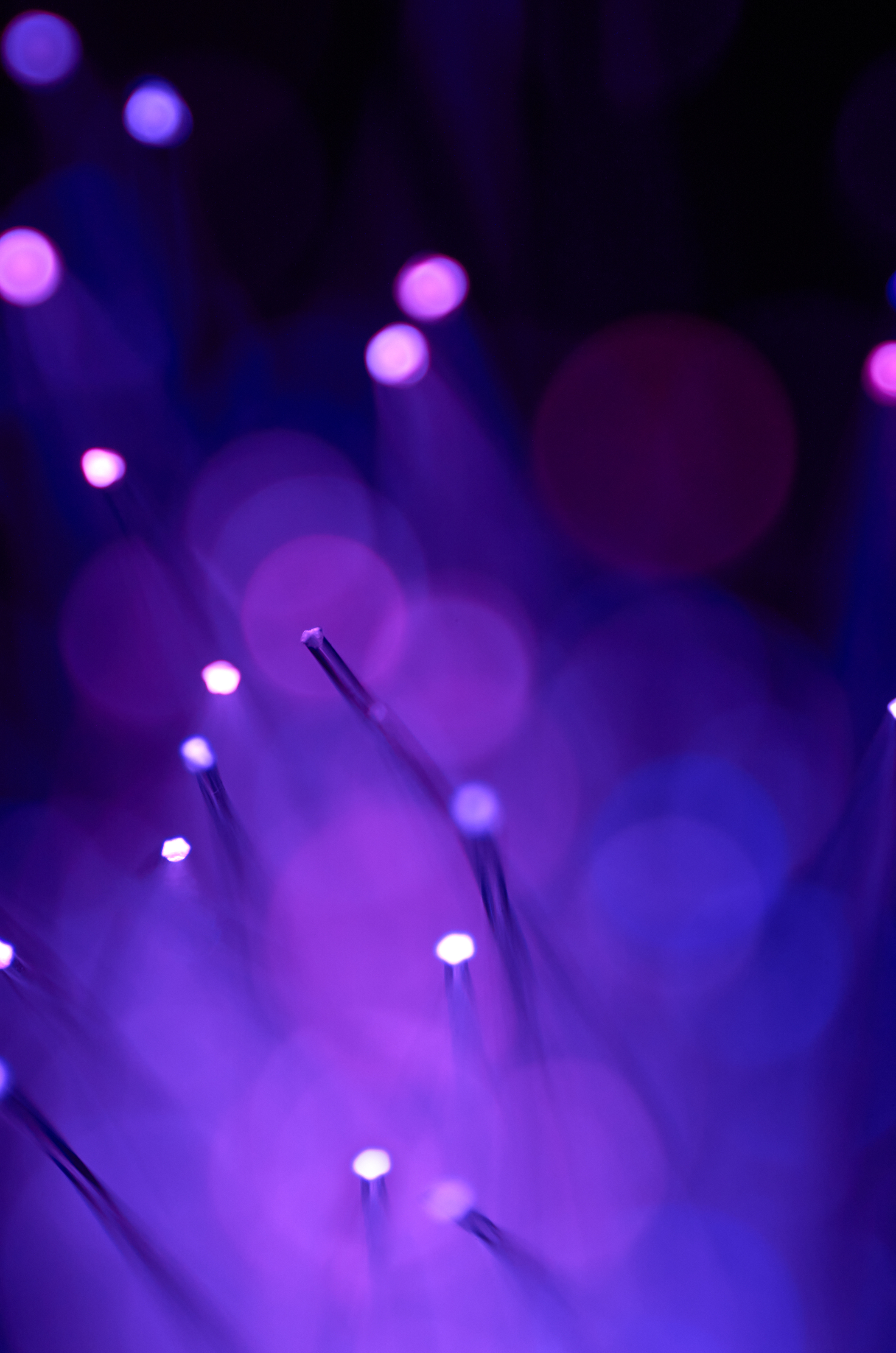 network cables with a purple hue