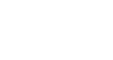 Dulux Logo